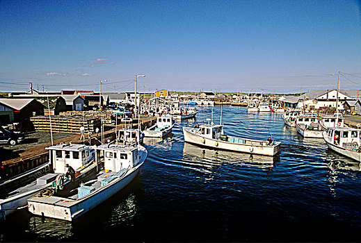 渔船,停靠,北湖,爱德华王子岛,加拿大