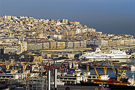 algeria,alger,aerial,view,of,congested,buildings,in,city