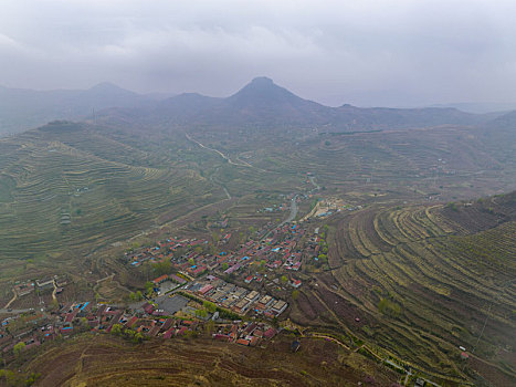 山东蒙阴岱崮地貌桃花盛开