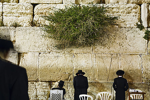 人,哭墙,耶路撒冷,以色列