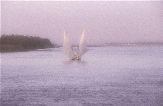 埃及,三桅小帆船,靠近,户外