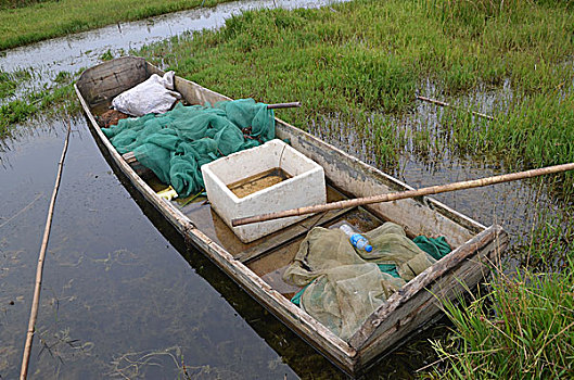 贵州草海风光,威宁,草海,木船,栖息地,海,淡水湖,渔船,湖水,湖泊,湿地,湿地高原,秋色,船只,草,贵州风光,风光,高原湖泊,黑颈鹤,国家一级保护鸟类,鸟类,海鸟,花海