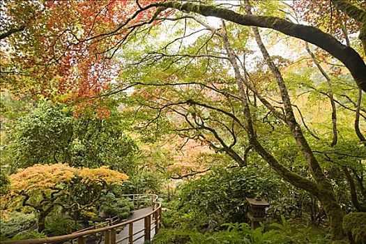 日式庭园,宝翠花园
