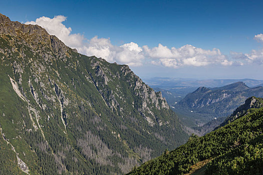 波兰,国家公园,山,局部,喀尔巴阡山脉地区,联合国教科文组织,生物保护区