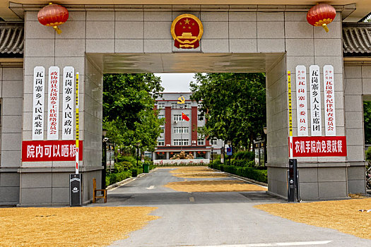 河南滑县,政府大院成了小麦晾晒场
