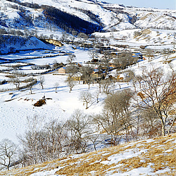 内蒙古冬天坝上风光