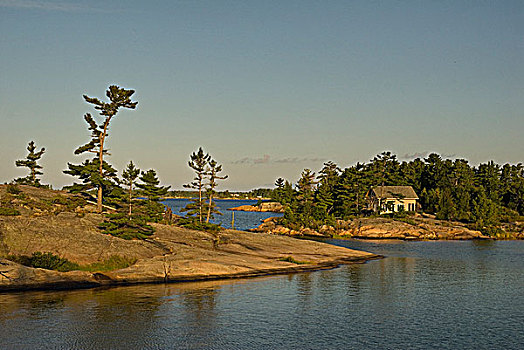 石头,松树,景色,乔治亚湾,岛屿,国家公园,安大略省,加拿大