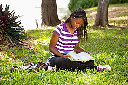 劳德代尔堡,佛罗里达,美国,女青年,读,圣经,公园