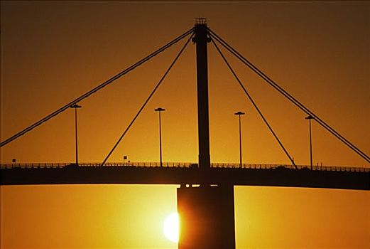 桥,日落,剪影,墨尔本,澳大利亚