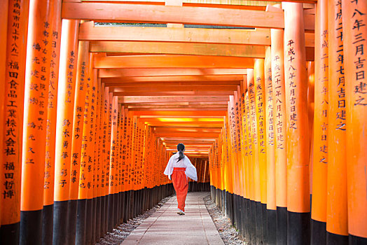 后视图,女人,走,线条,黑色,橙色,传统,日本,神祠