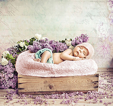 睡觉,幼儿,躺着,紫花,毯子