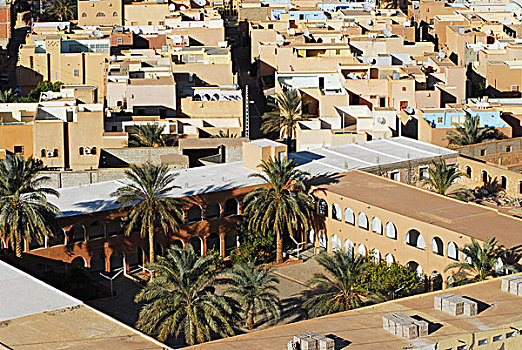 algeria,ben,isguen,elevated,view,of,historic,houses,by,trees,in,a,village