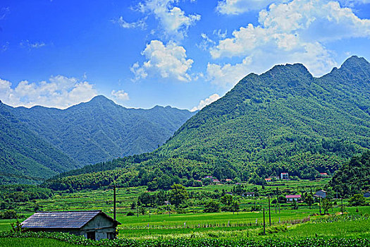 大山里的房子