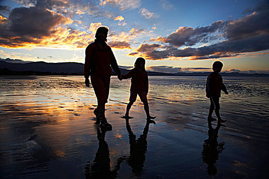 家庭,走,海滩,日落,靠近,金色,湾,纳尔逊,区域,南岛,新西兰