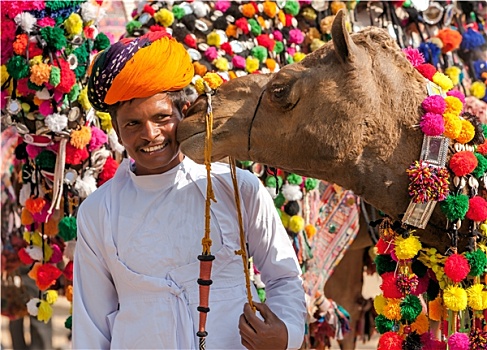 传统,骆驼,装饰,竞争,普什卡