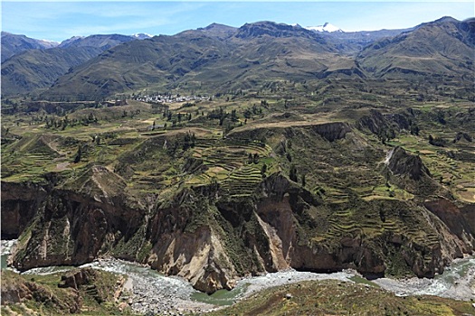 柯卡谷,秘鲁