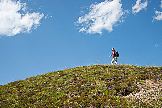 女人,远足,山顶,伯恩高地,瑞士
