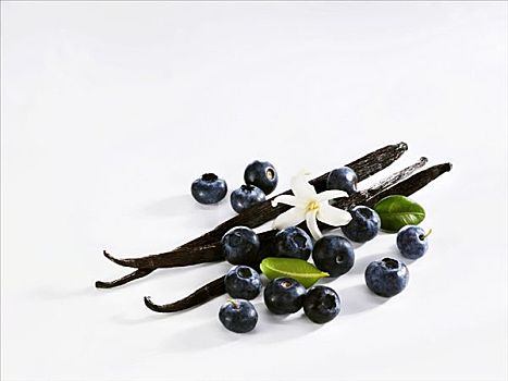 香草豆荚,蓝莓
