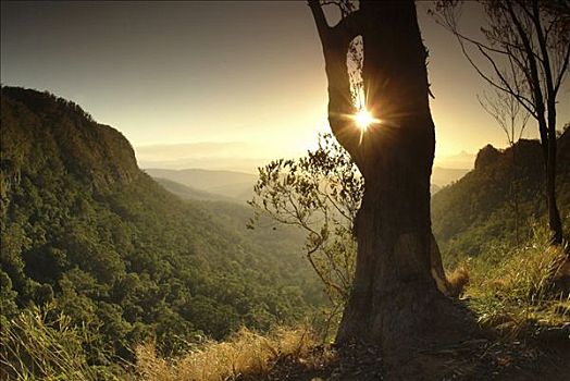 日落,风景,拐杖,国家公园,昆士兰,澳大利亚