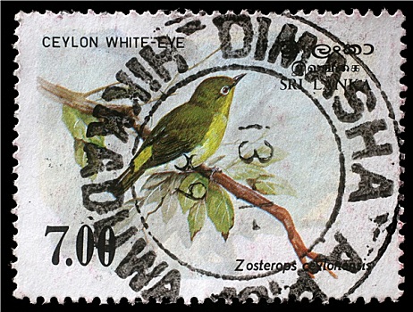 邮票,共和国,斯里兰卡,白色眼圈,鸟,绣眼鸟