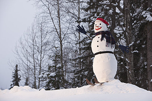 雪人,合适,圣诞帽,手套,栖息,小,积雪,阿拉斯加