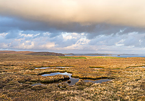 风景,设得兰群岛,苏格兰,大幅,尺寸