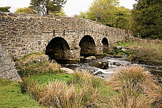 石桥,河,达特姆尔高原,国家公园,德文郡,英格兰