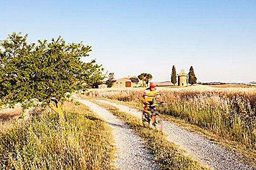 山地自行车,私家车道,农业,风景,靠近,夏天,瓦尔道尔契亚
