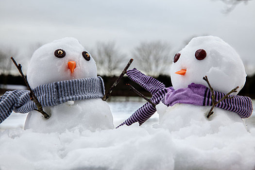 两个,可爱,雪人,穿,围巾,细枝,手臂