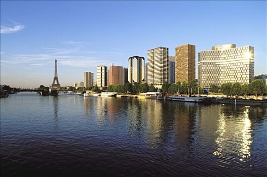 法国,巴黎,正面,塞纳河,建筑,埃菲尔铁塔,背影