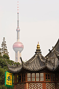 中国,上海,神,庙宇,东方明珠塔,背景