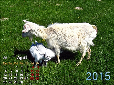 日程,四月,山羊,儿童
