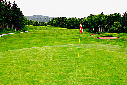 高尔夫旗,高尔夫球场,高地,布雷顿角,新斯科舍省,加拿大