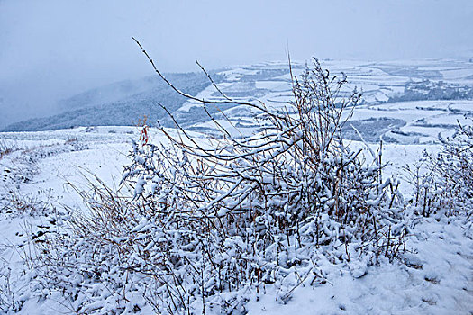 冬季的云南东川红土地雪原