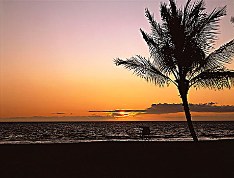 瓦胡岛,怀基基海滩,黄昏,夏威夷,美国