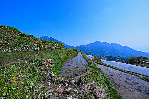 中国最美梯田,浙江丽水云和梯田