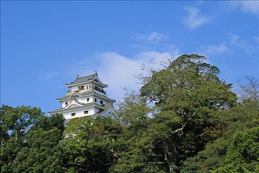 日本,九州,城堡