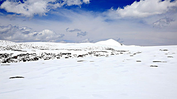 八一冰川祁连山脉雪山积雪