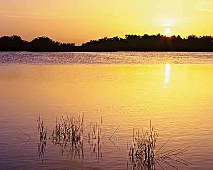 美国,佛罗里达,大沼泽地国家公园,日落,反射,湖