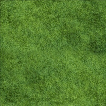 草,满,绿色,纹理,宁和,概念
