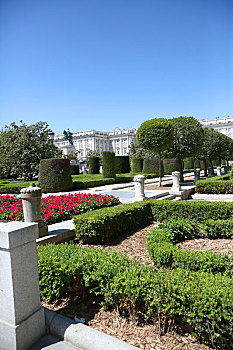 风景,广场,东方,马德里皇宫,背景,马德里