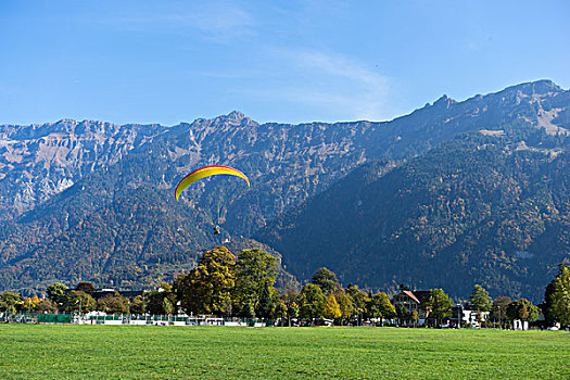 漂亮,滑傘運動,地點,靠近,山,瑞士