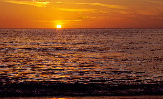 日落,上方,海洋,萨尼伯尔岛,佛罗里达,美国
