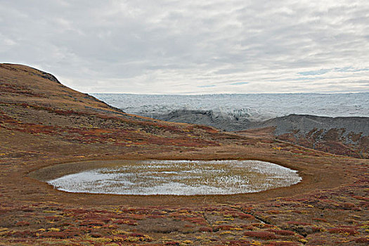 格陵兰,大,峡湾,冰原,冰河,秋天,冰碛,风景,大幅,尺寸