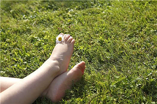 脚,小,女孩,雏菊,脚趾