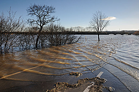 洪水,道路,高,水,萨勒,河,靠近,瑙姆堡,萨克森安哈尔特,德国,欧洲