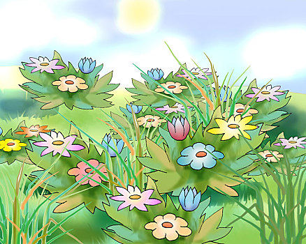 花,草地,鲜明,太阳
