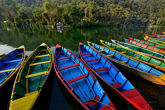 尼泊尔博卡拉费瓦湖游船