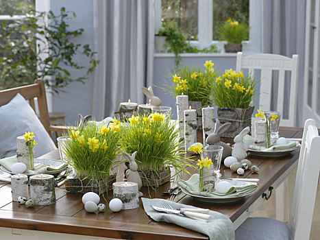 桌饰,芽草,水仙花,桦树