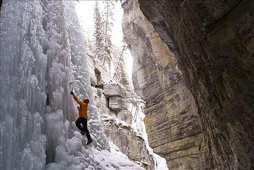 女性,攀登,攀冰,峡谷,碧玉国家公园,艾伯塔省,加拿大